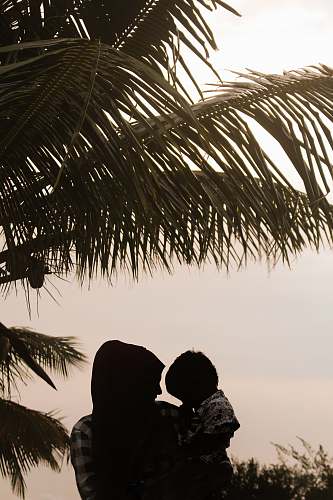 palm tree person carrying child arecaceae